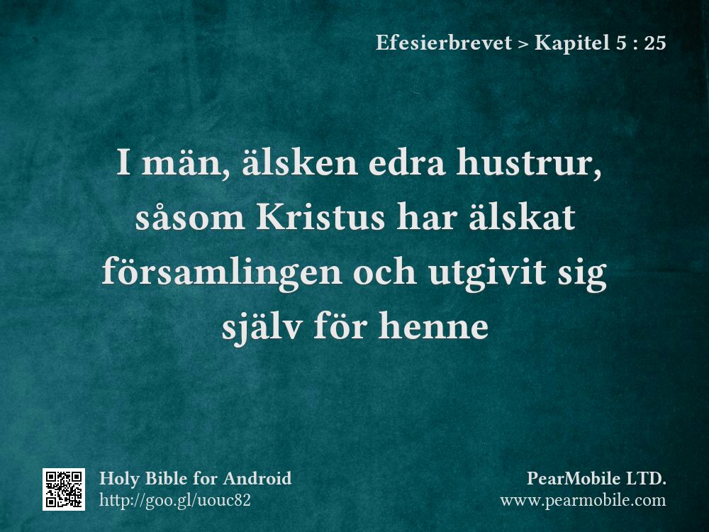 Efesierbrevet, Kapitel 5:25